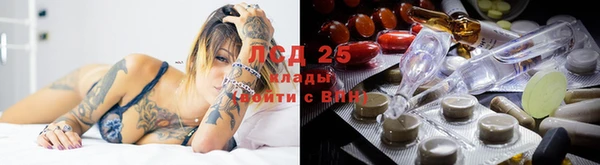 ГАЛЛЮЦИНОГЕННЫЕ ГРИБЫ Армянск