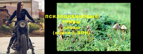ГАЛЛЮЦИНОГЕННЫЕ ГРИБЫ Армянск