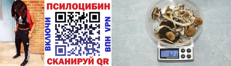 Псилоцибиновые грибы Magic Shrooms  мега сайт  Сухиничи 